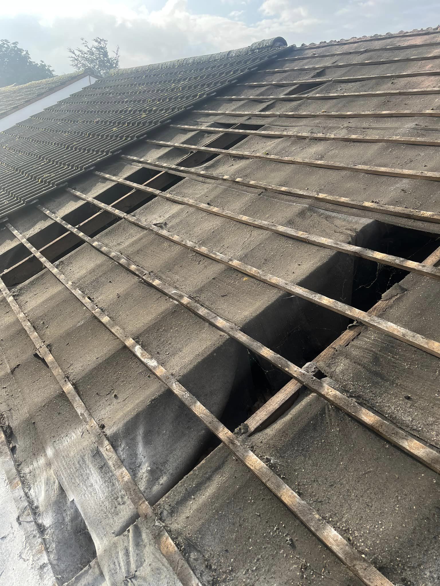 Roof Repair Project